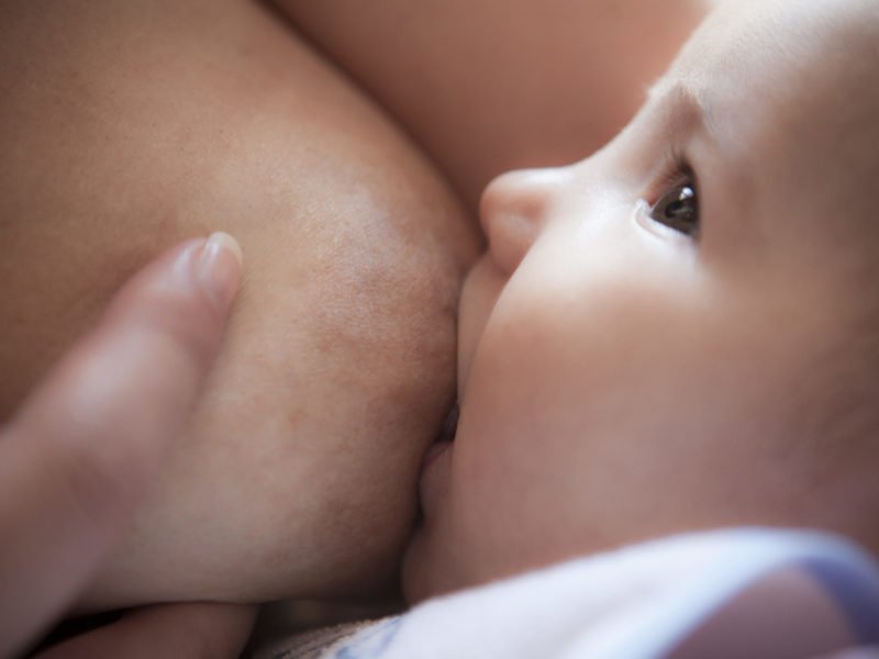 Getting a comfy attachment for breastfeeding. Young mother holds breast while nursing